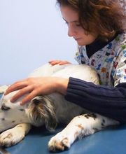 Stoléar Elodie image 2