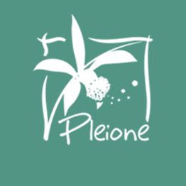 Pleione