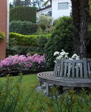 Art & Giardini Sagl Bild 5