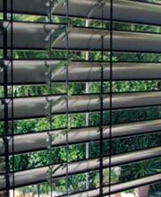 Kälin Martin Bild 7