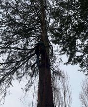 Leroy Elagage image 5