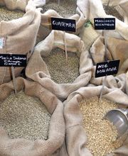 Saveurs des Comptoirs image 5