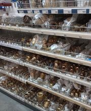 HYDRALIANS SOMAIR GERVAT Gemenos image 3