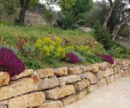 Puchala Paysage image 3
