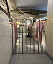 Hundezentrum Rhein-Main GbR Bild 3