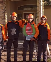 SavATree - Tree Service image 15
