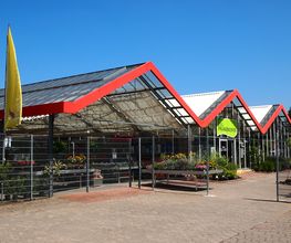 Pflanzencenter Dill Bild 2