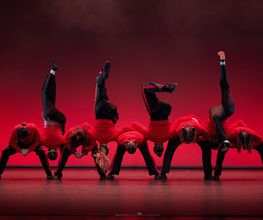 Verein TDC dance company & school Bild 4