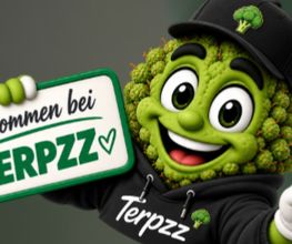 Terpzz Bild 3