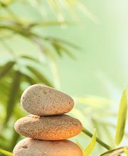 Naturheilpraxis Tegel - Elke Tegel Heilpraktikerin Bild 9