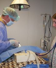 Germantown Hills Animal Hospital image 1