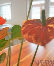 ImmoWelt Kraichgau Bild 4