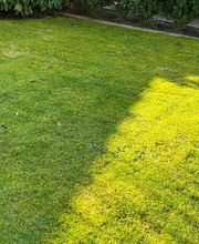 CleanTeam MultiService Bild 8
