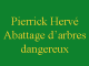 Herve Pierrick