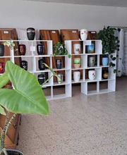 Bestattungsinstitut Neidhardt Bild 3