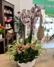 J.Topalian - Artisan Fleuriste image 16