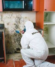 BELFOR Property Restoration (Columbus) image 5