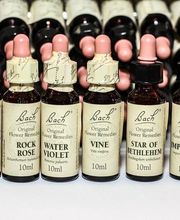 Barbara Rossi Consulente Certificata Fiori di Bach BFRP e Fiori Australiani ABFE immagine 10