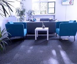 Heller Aufenthaltsraum mit 2 blauen Sesseln und weißen Beistelltisch, 2 graue Sofas und einem Fernseher an der Wand. Im Raum stehen einige, grüne Zimmerpflanzen.