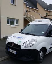 Dom'Alliance image 1