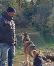 Hundeschule München-Nord