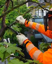 Baum & Garten Hannover Bild 1