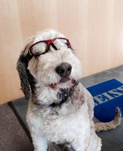 Avon Vision Centre image 2