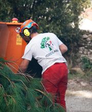 Access Élagage SARL image 6