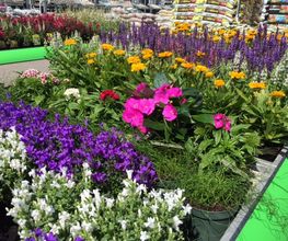 hagebaumarkt Schwerin Bild 15