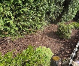 Lenhardts-Gartenpflege Bild 3