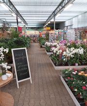 Pirig Gartencenter Bild 6