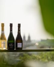 BLOU Rooftopbar afbeelding 9