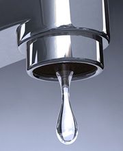 Sanchez Vincent image 1