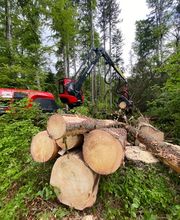 Passion Forêt SA Bild 1