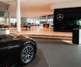 STERNAUTO Bild 3