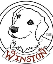 Christopher Fauver DDS Comprehensive Dentistry and Oral Wellness image 9