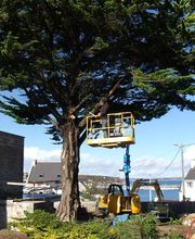 Earl Riou Jacques image 6