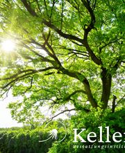 Bestattungsinstitut Keller Bild 6
