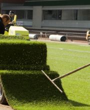 Die Wühlmäuse Frohs eK Bild 5