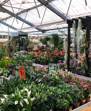 HORNBACH Passau Bild 7