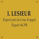Lesieur Expertise