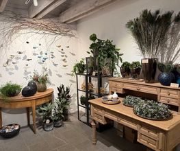 Zimmermann Flaach AG Blumen & Gartenbau Bild 8