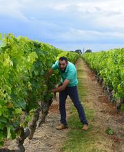 Papin Anthony EARL image 5