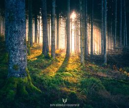 Dirk Doebele Fotografie Bild 2