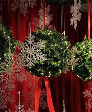 L' Orchidée image 5