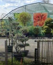 Tilly Paysage et Pépinière image 1