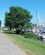 Gästehaus Szech Bild 3