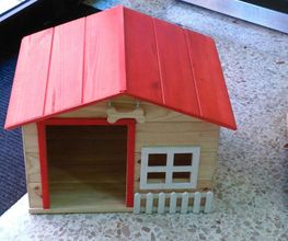 consulta-veterinaria-acueducto-casa-perro-03.jpg