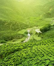 itravel Group Bild 11