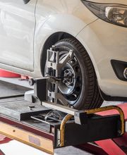 Gallery Professionale